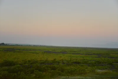 DSC_4202 (Large).JPG